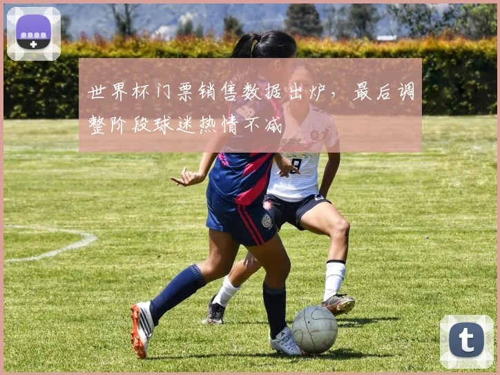 世界杯门票销售数据出炉,最后调整阶段球迷热情不减