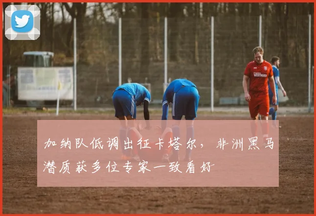 加纳队低调出征卡塔尔，非洲黑马潜质获多位专家一致看好