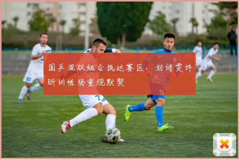 国乒混双组合抵达赛区，刘诗雯许昕训练场重现默契 - 天下足球网