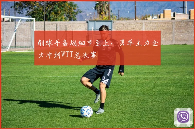 削球手备战细节至上，男单主力全力冲刺WTT总决赛 - 天下足球网
