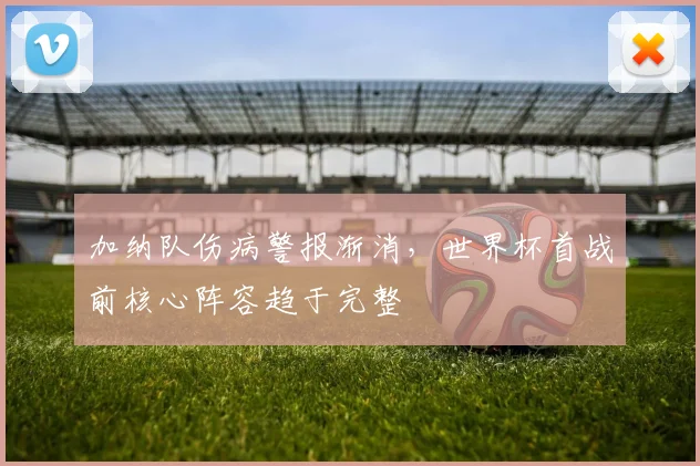 加纳队伤病警报渐消,世界杯首战前核心阵容趋于完整